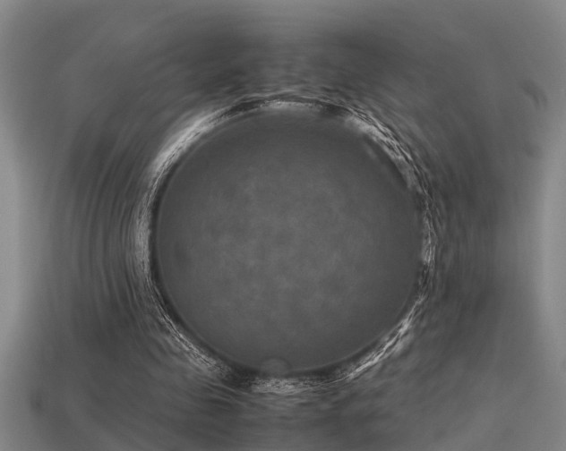 X0000113290341200909141209