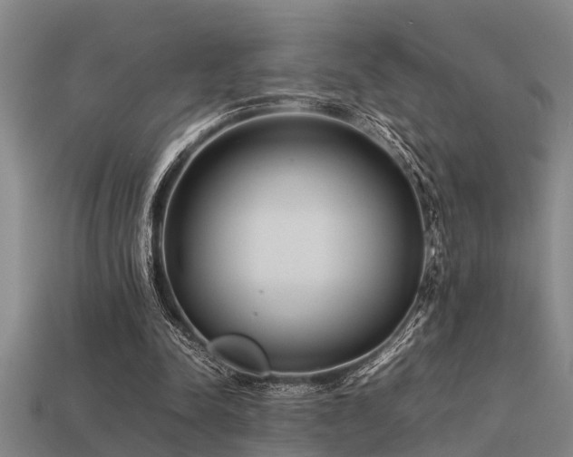 X0000113290342200909141209