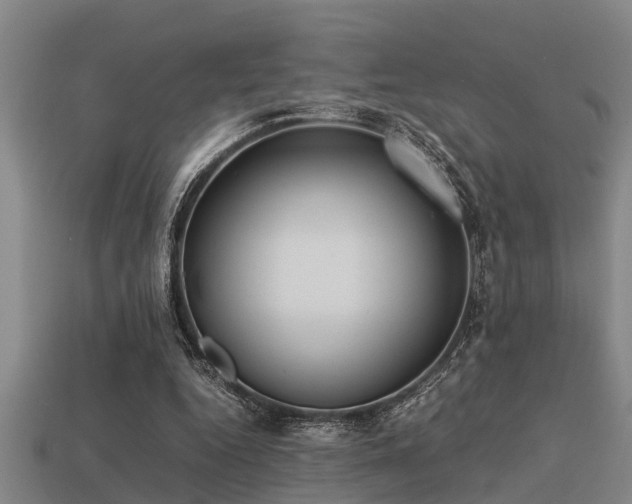 X0000113290344200909141209