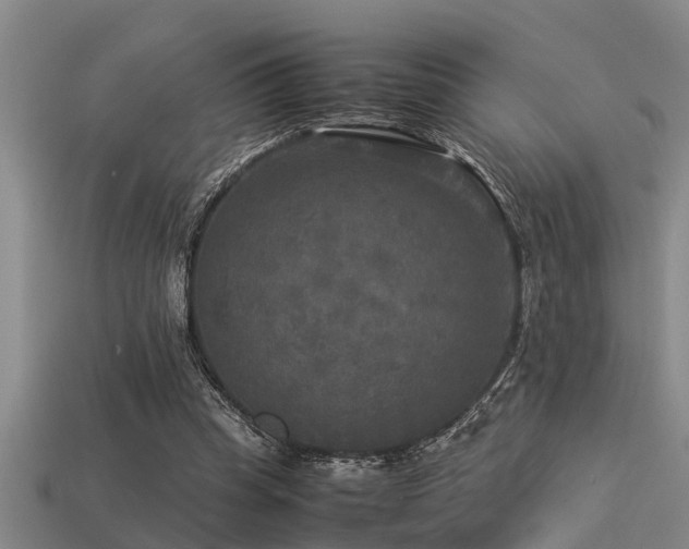 X0000113290345200909141209