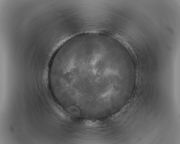 X0000113290346200909141209