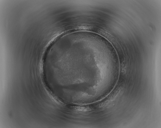 X0000113290347200909141209