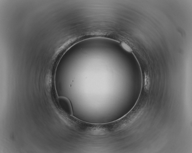 X0000113290348200909141209