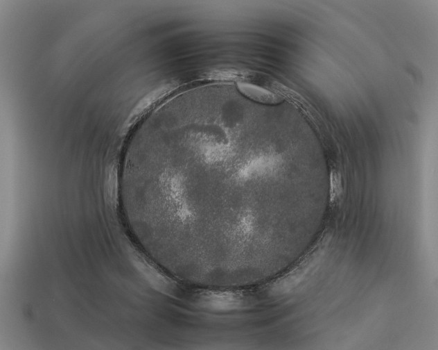 X0000113290349200909141209