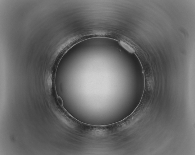 X0000113290350200909141209