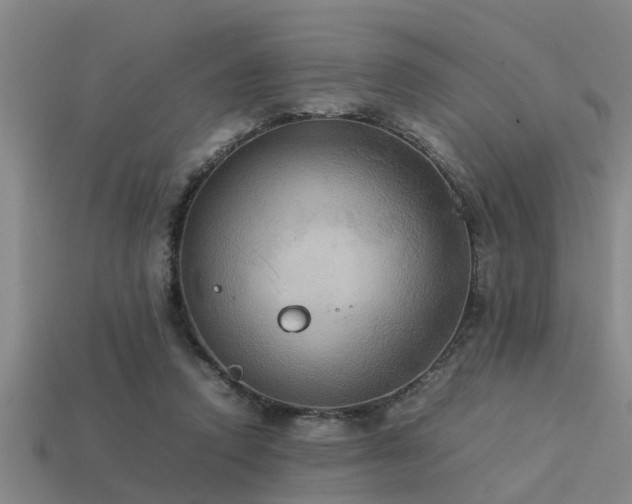 X0000113290354200909141209