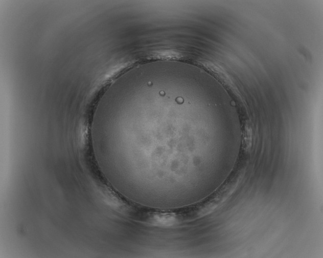 X0000113290355200909141209