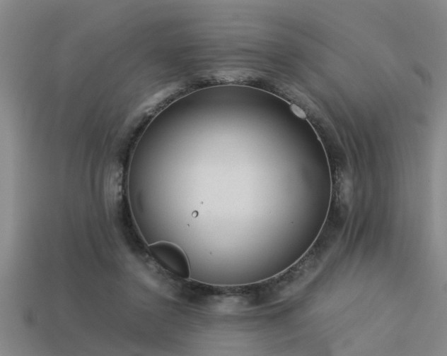 X0000113290356200909141209