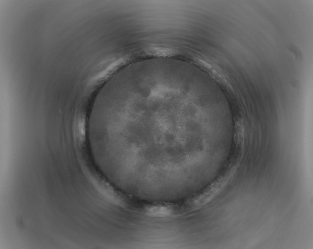 X0000113290358200909141209