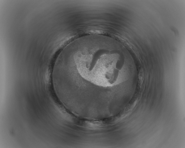 X0000113290359200909141209