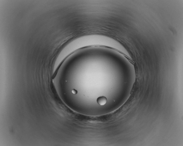 X0000113290360200909141209