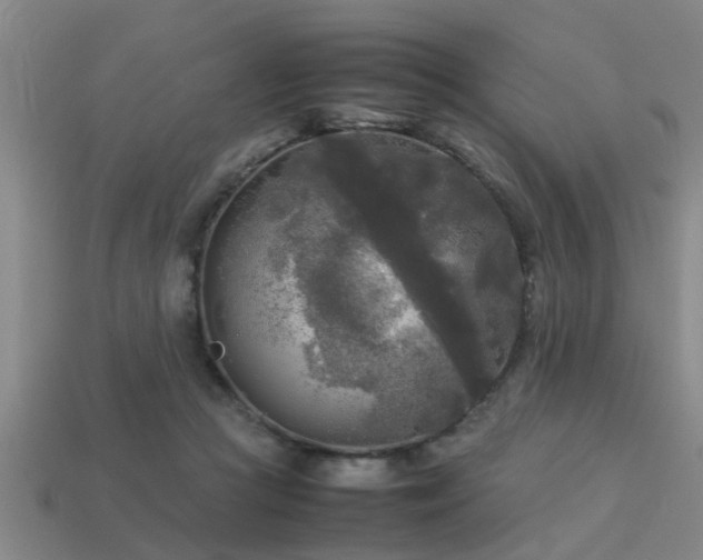 X0000113290361200909141209