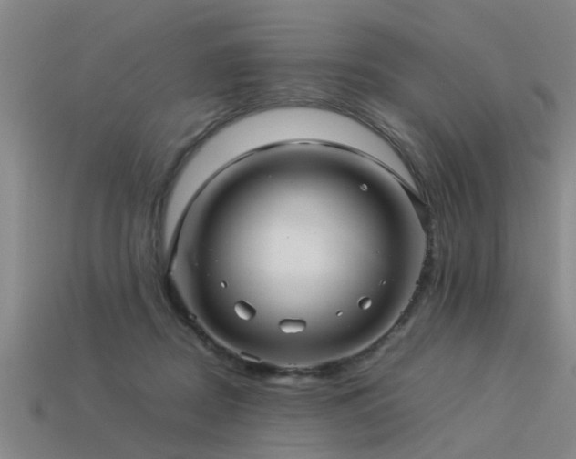 X0000113290362200909141209