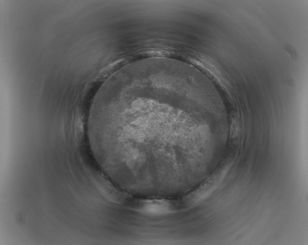 X0000113290363200909141209