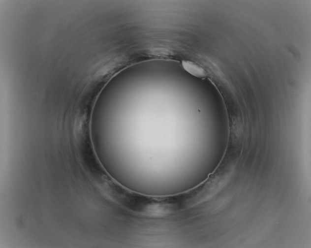 X0000113290364200909141209