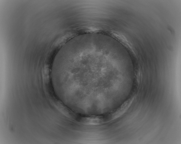 X0000113290366200909141209