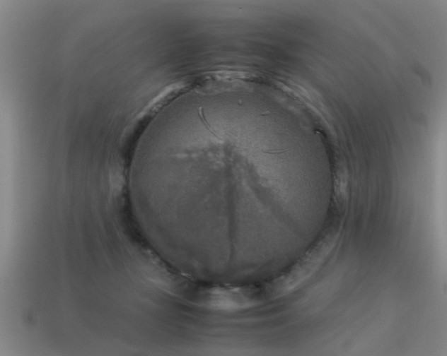 X0000113290367200909141209