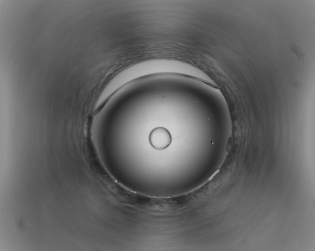 X0000113290368200909141209