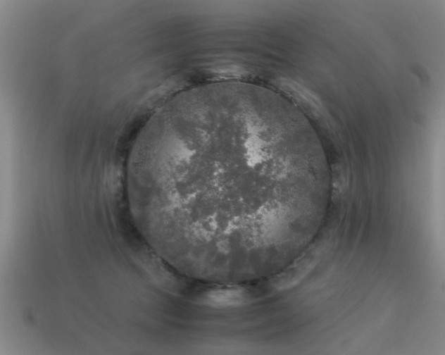 X0000113290369200909141209