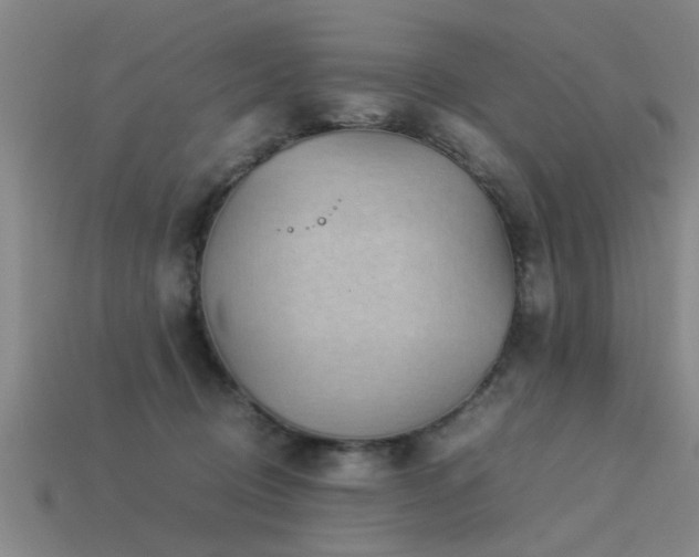 X0000113290370200909141209