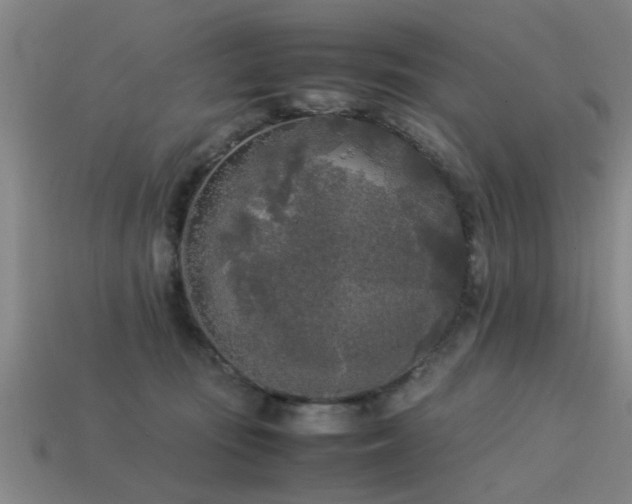 X0000113290371200909141209