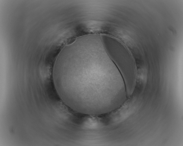 X0000113290372200909141209