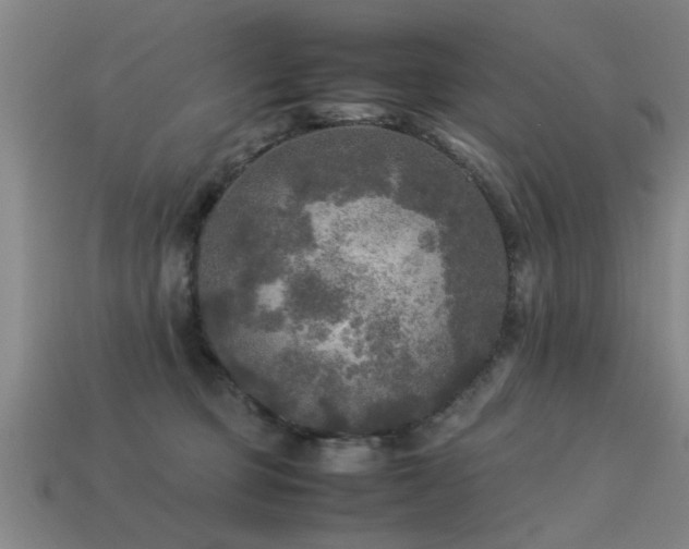 X0000113290373200909141209