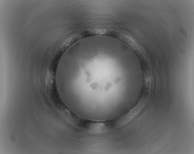 X0000113290374200909141209