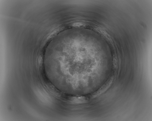 X0000113290375200909141209