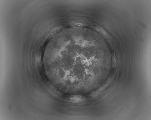 X0000113290377200909141209