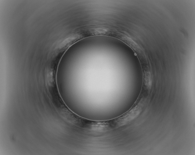 X0000113290378200909141209