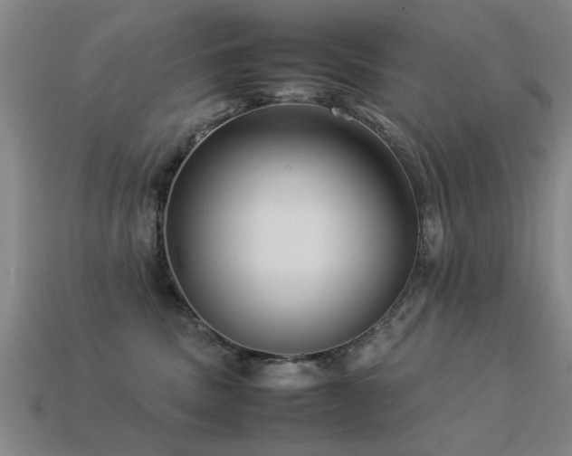 X0000113290379200909141209