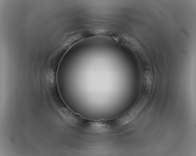 X0000113290380200909141209