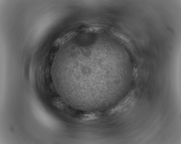 X0000113290381200909141209