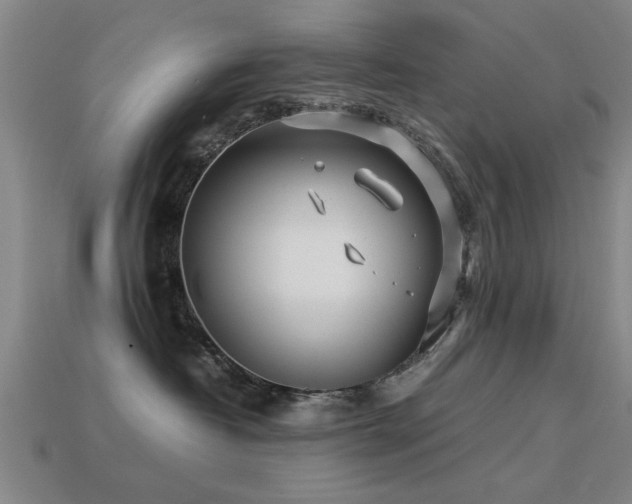 X0000113290382200909141209