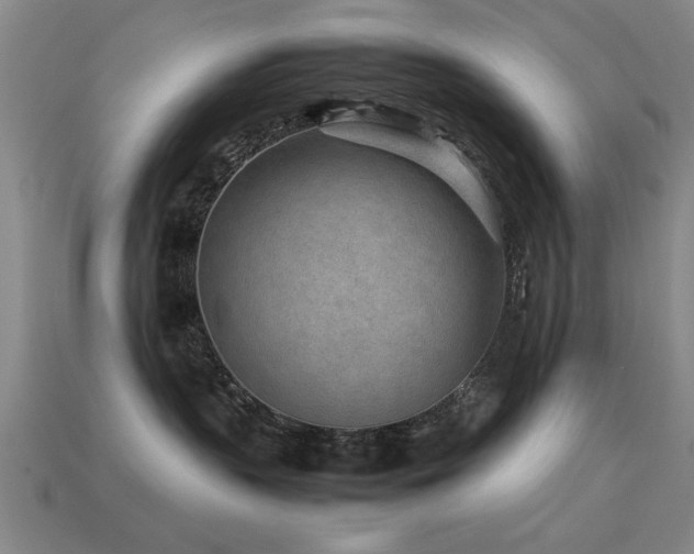 X0000113290383200909141209