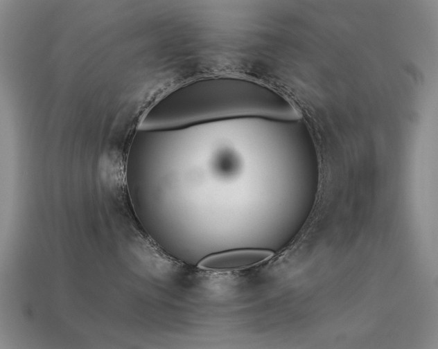 X0000113290384200909141209