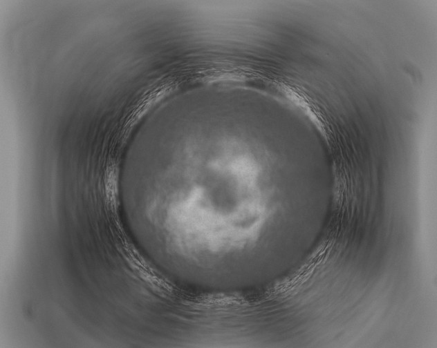 X0000113290386200909141209