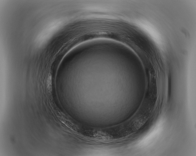 X0000113290387200909141209