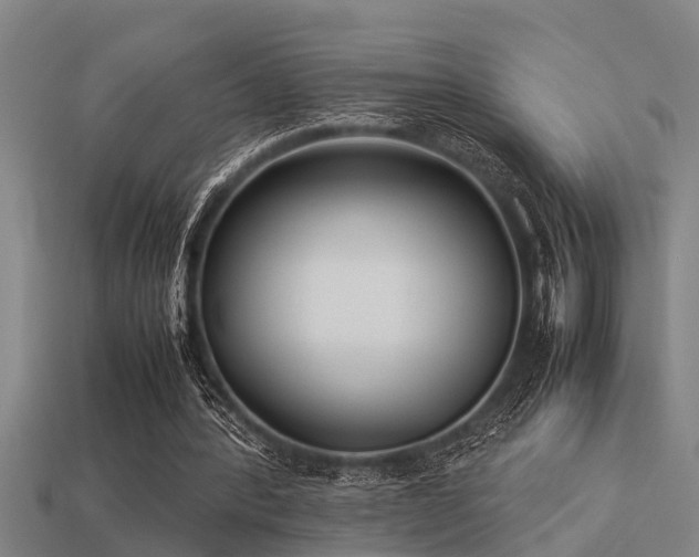 X0000113290388200909141209