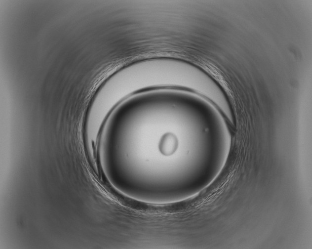 X0000113290389200909141209