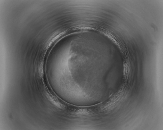 X0000113290390200909141209