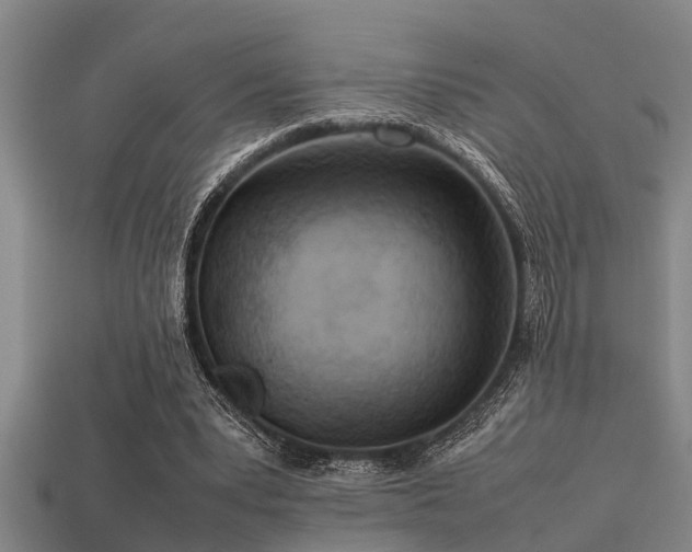 X0000113290391200909141209