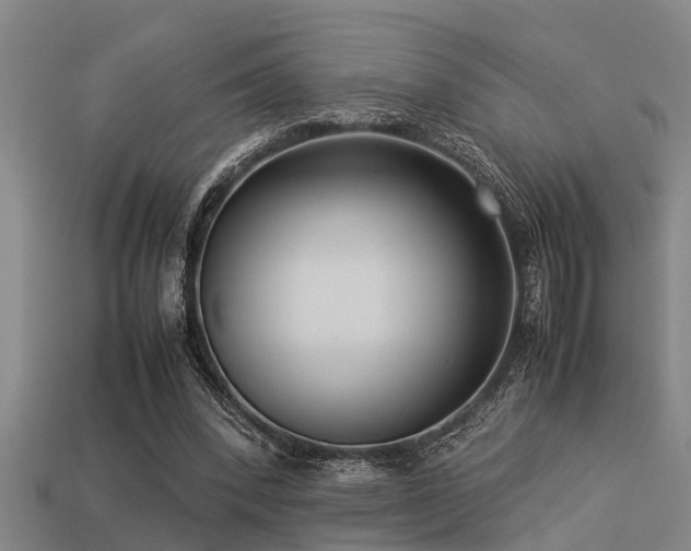 X0000113290392200909141209