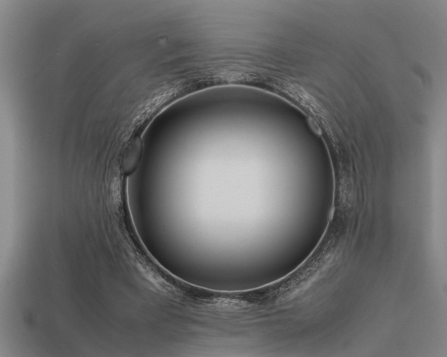 X0000113290393200909141209