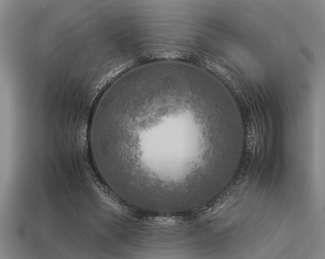 X0000113290394200909141209