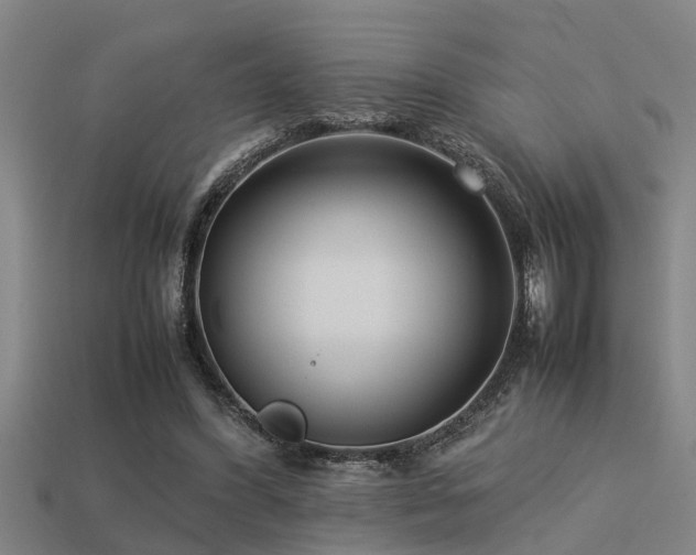 X0000113290396200909141209