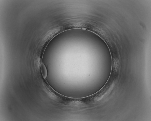 X0000113290397200909141209