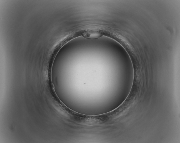 X0000113290399200909141209