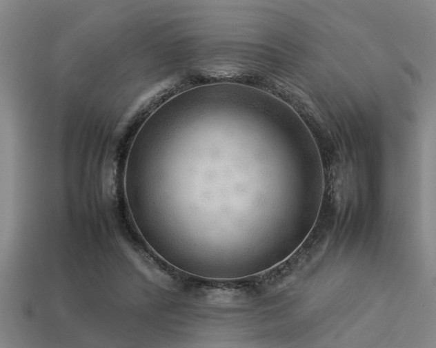 X0000113290400200909141209